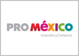 ProMexico: Varios diseños y páginas web para sus clientes