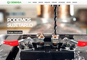 Creación de sitio web para Cesehsa México